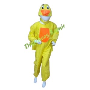 Disfraz de pato